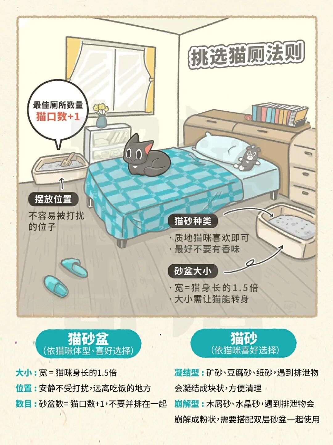 挑选猫厕方法.jpg